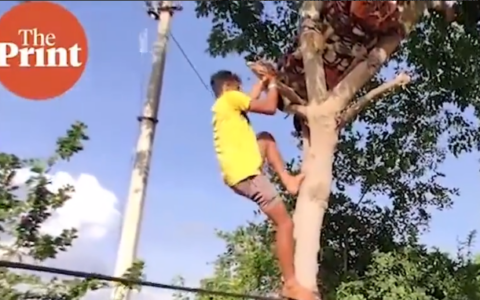 醫療設施不足 印度一男子新冠檢測呈陽性：在樹上隔離11天