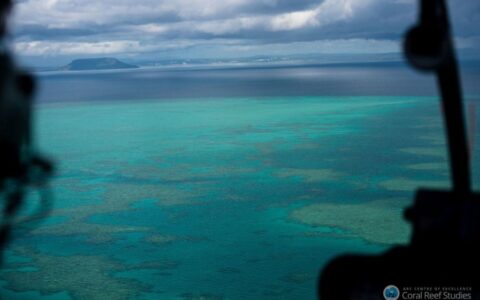 面臨“降級”危機：是什麼在威脅澳大利亞大堡礁？