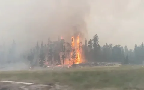 多國科學家：加拿大未來或因山火控制不力遭受嚴重損失