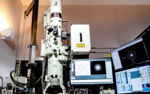 超快電子顯微鏡為開發新的量子設備帶來關鍵性的發現