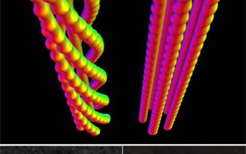 科學家們發現新的物理現象：由斯格明子構成的複雜編織結構