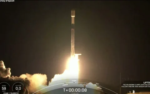 一箭11飛！SpaceX第33批星鏈衛星上天
