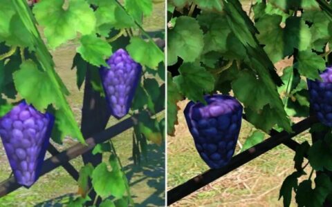 《最終幻想14》修復建模低劣的葡萄 玩家社區集體“悼念”