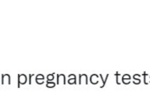 玩家在驗孕棒上玩《上古捲軸5》 懷了個抓根寶？