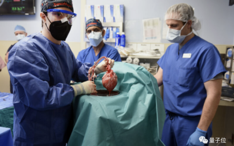 首位豬心移植患者去世：術后存活2個月，創造醫學里程碑