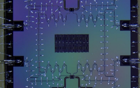 達摩院宣布成功研製兩比特量子芯片 單比特操控精度達99.97%