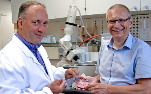 科學家設計出一種能清除腎結石最小碎片的水凝膠