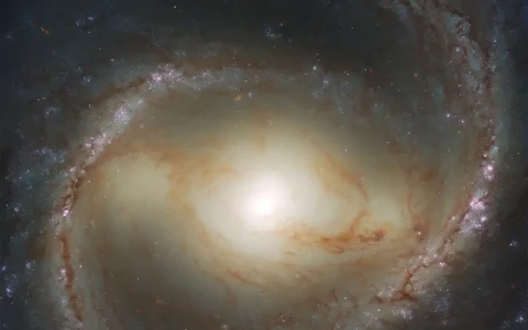 仙女星系中發現12顆大質量物質轉移雙星