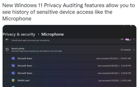 微軟改進了Windows 11的隱私審計功能