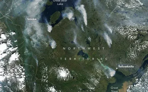 受乾燥、閃電和高溫影響 加拿大北部發生數百起山火