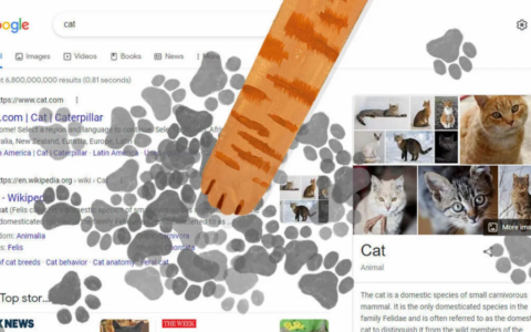 Google用可愛的爪印遊戲迎接國際貓咪日的到來