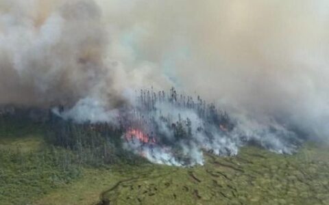 今年以來歐洲林火毀地面積創同期新高