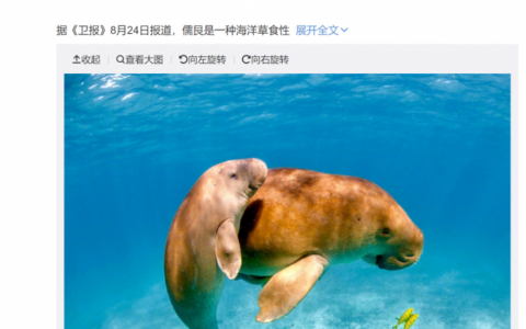 2008年以來沒有活動記錄 美人魚原型儒艮被認為在中國已經滅絕