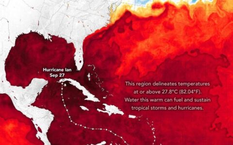 颶風伊恩的“燃料”：可怕的力量來自海洋