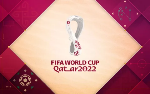 卡塔爾要求2022世界盃遊客在手機上安裝有爭議的軟件